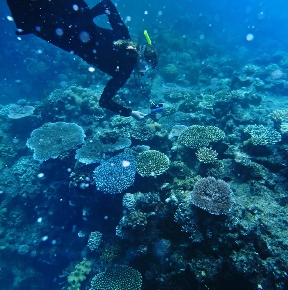 A Pregnancy Guide to the GBR: Safe Snorkelling and Glass-Bottom Boat Tours
