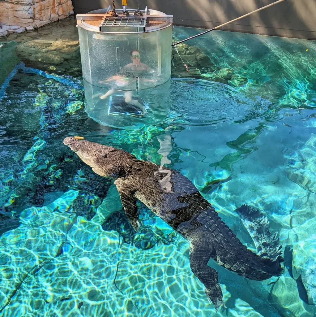 Crocosaurus Cove