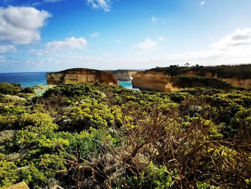 Loch Ard Gorge