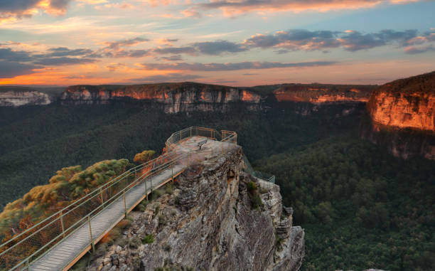 Explore the Magnificent Blue Mountains with a Day Tour from Sydney