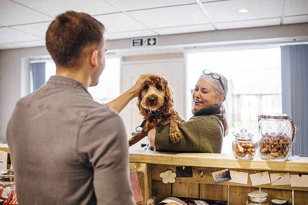 Pet-Friendly Holiday Guide for South West Rocks | Accommodation & Attractions