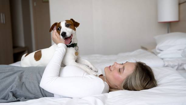 Pet-Friendly Lodging Options in South West Rocks