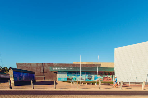 Discover the Wonders of Shark Bay at the World Heritage Discovery Centre